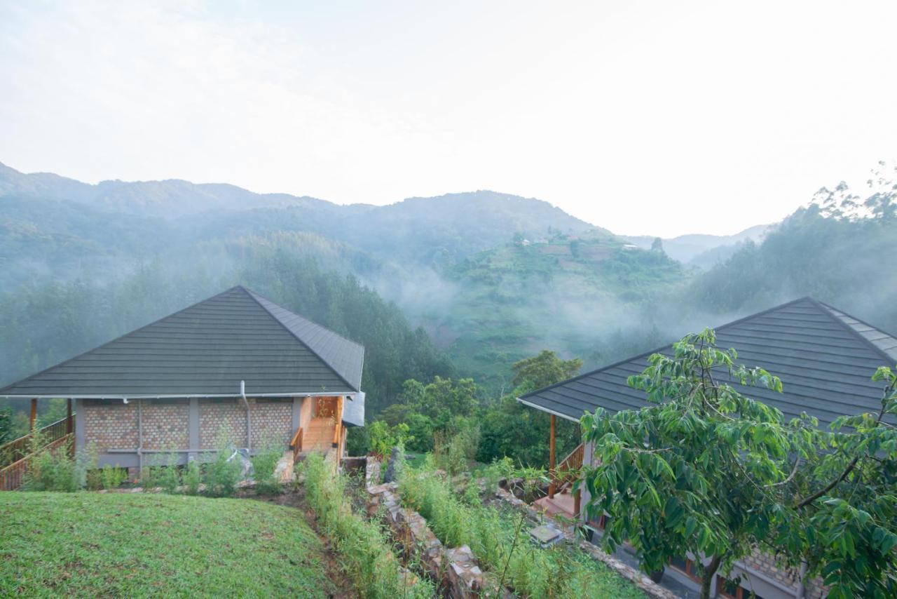 Gorilla Leisure Lodge Kisoro Exteriér fotografie
